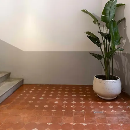 T2 Ed Warner Narbonne